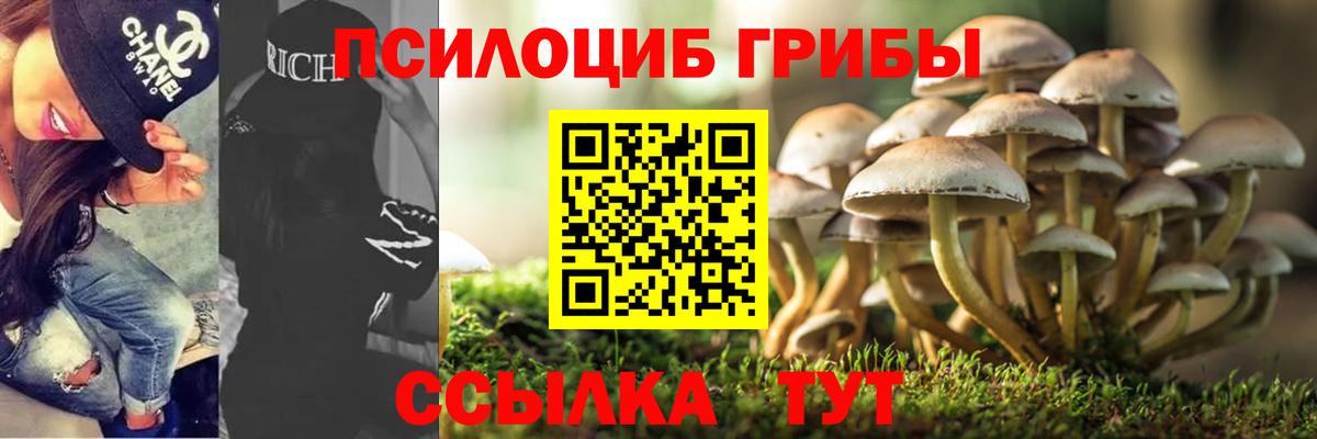 Галлюциногенные грибы Psilocybe Обнинск